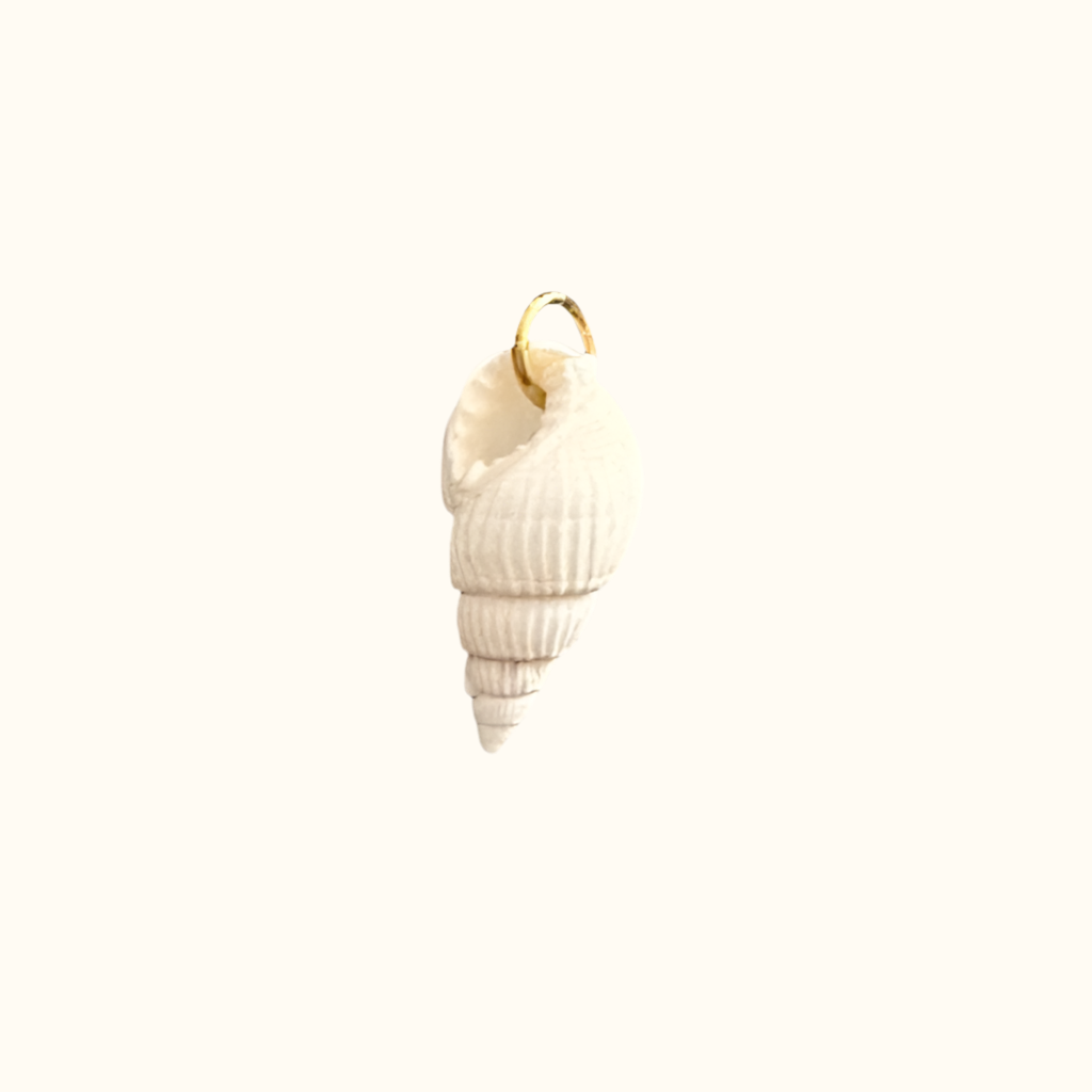 White Hermit Shell Charm