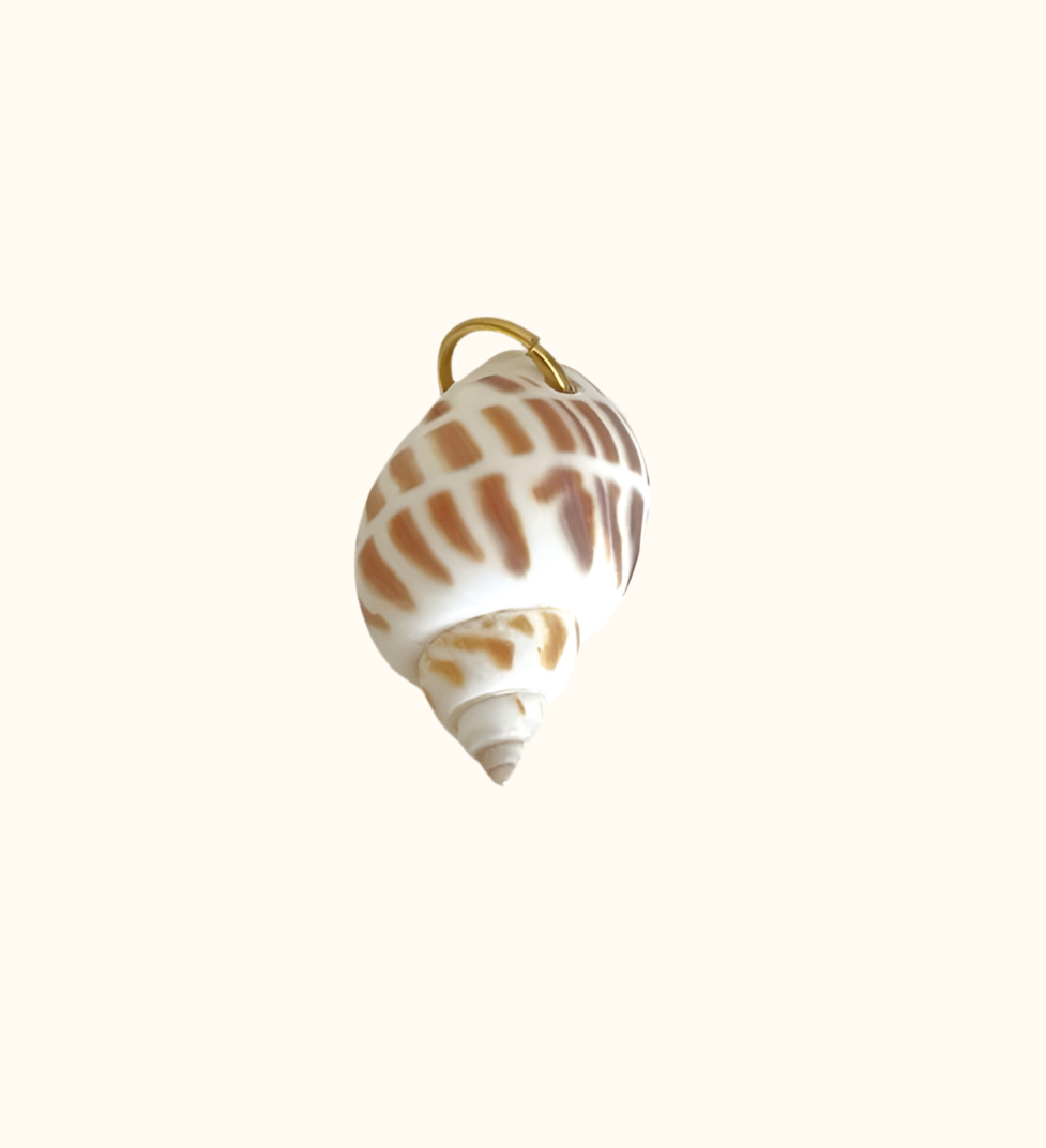 Brown Striped Shell Charm