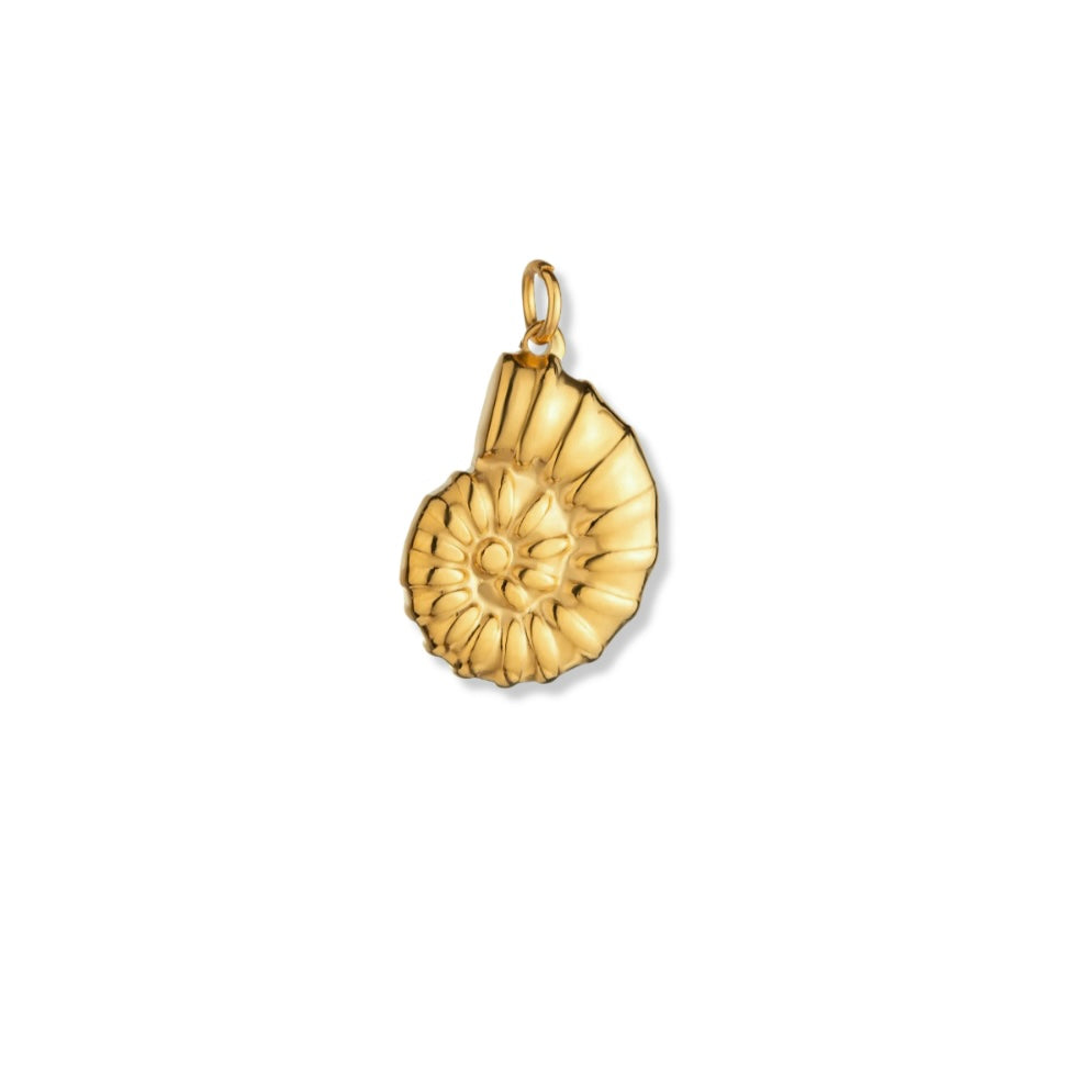 Fossil Shell Charm