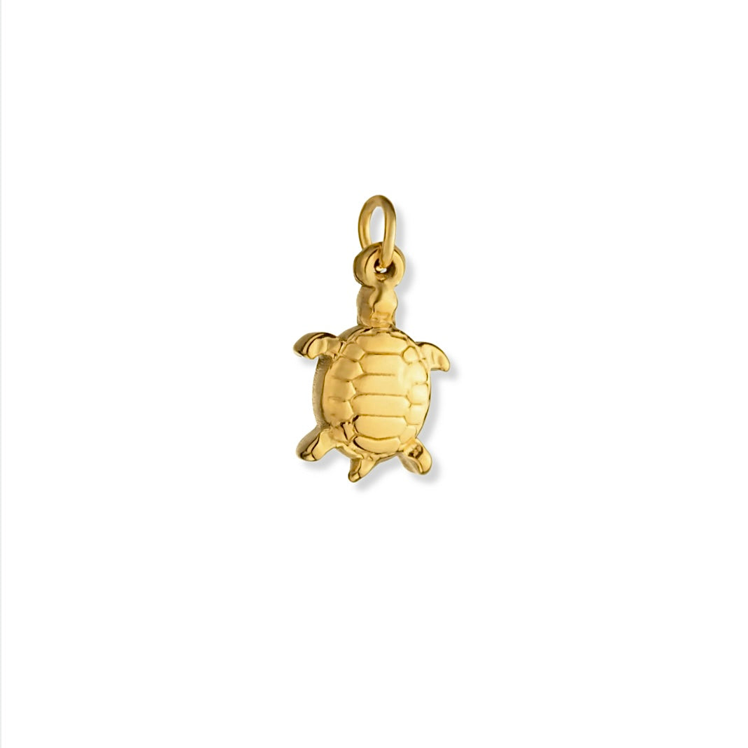 Turtle Charm