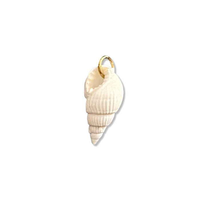 White Hermit Shell